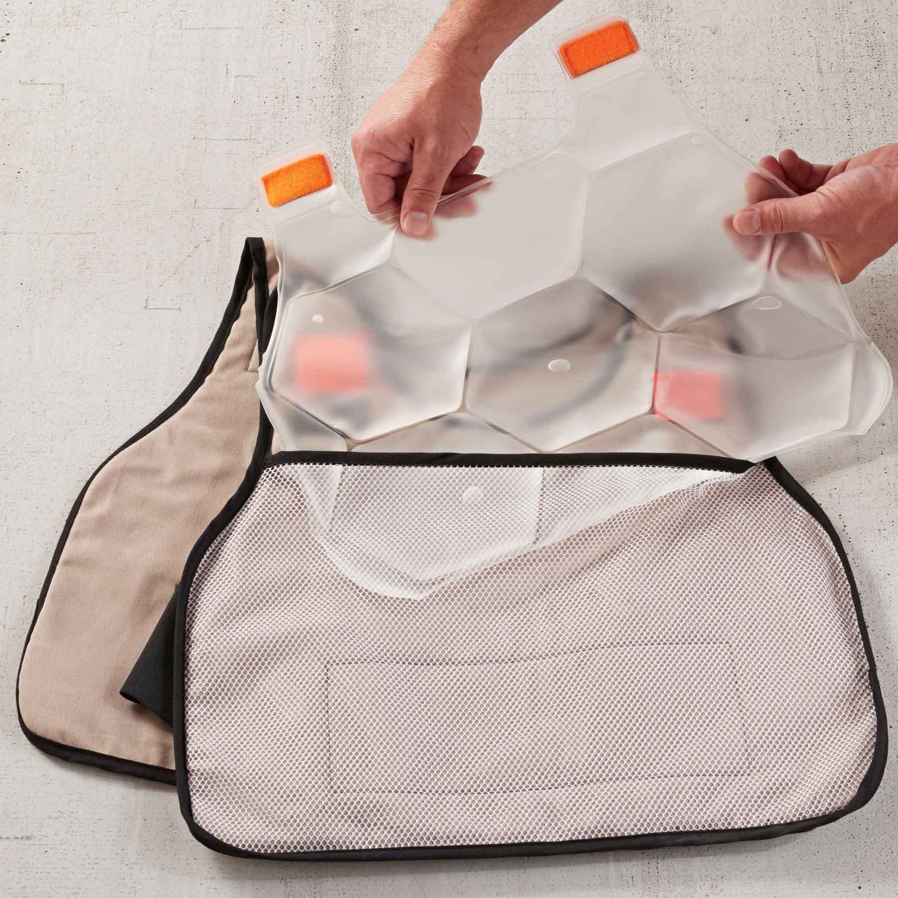 Mobile Cooling Ice Packs