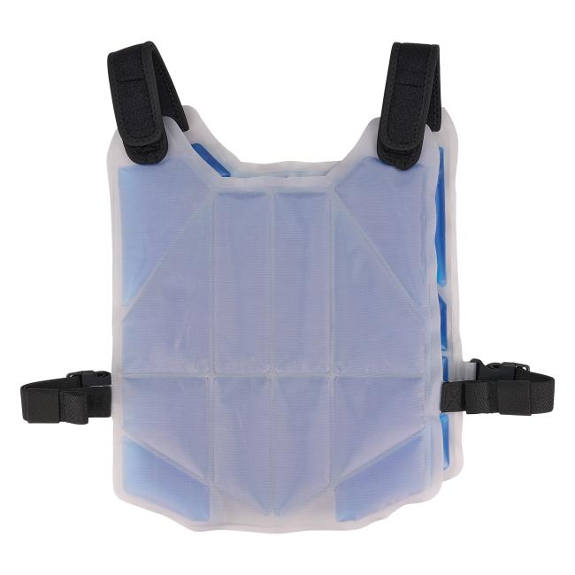 Back view of cooling ice vest