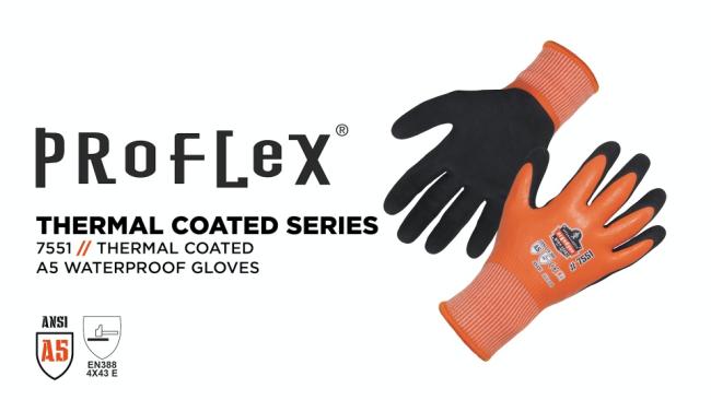 Workhorse A5 Cut-Resistant Gloves - Bunzl Processor Division