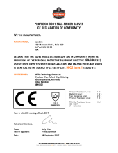 proflex 9001 ce declaration of conformity pdf