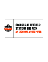 white paper objects at heights state of risk_3 pdf